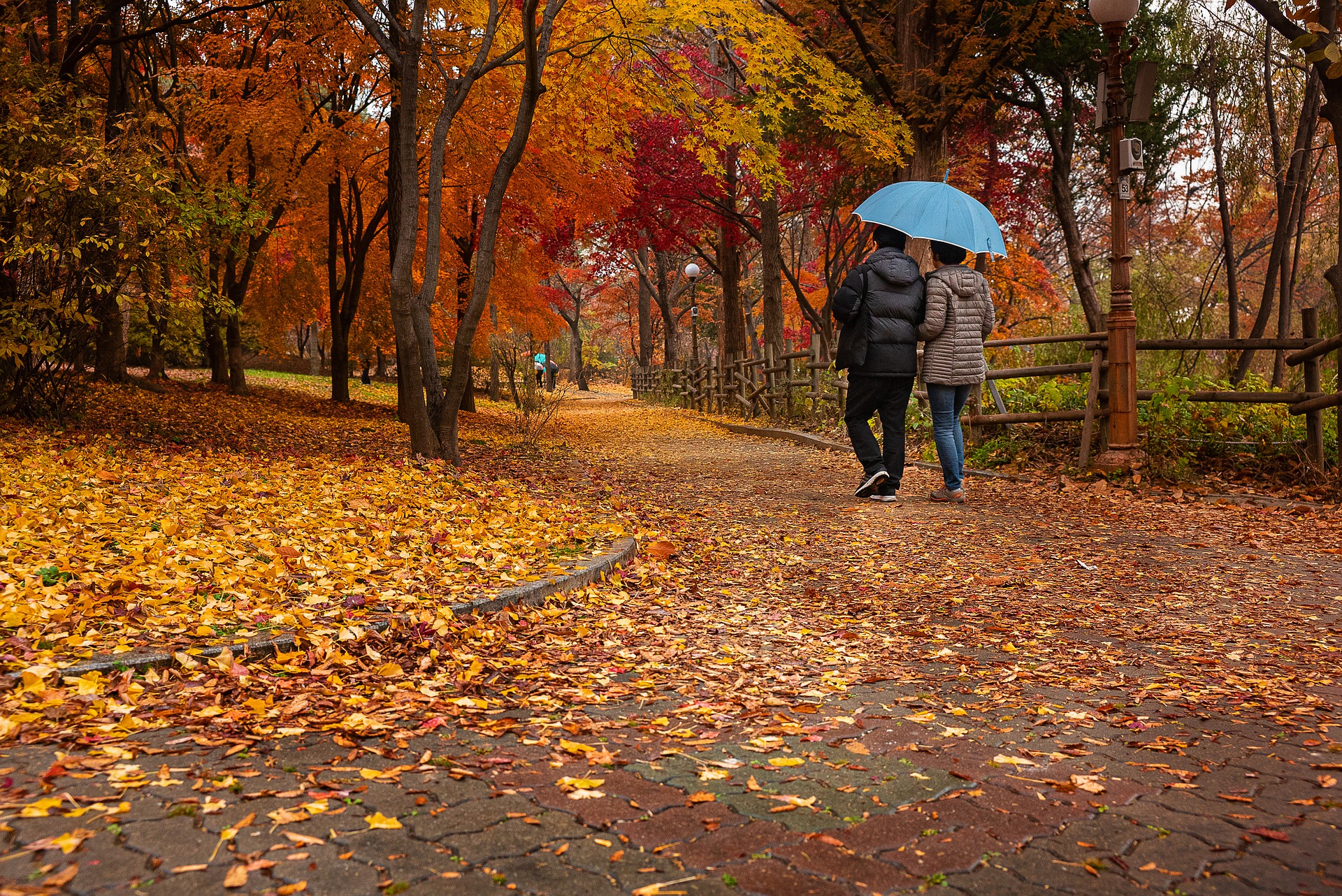 Осенний парк под зонтом